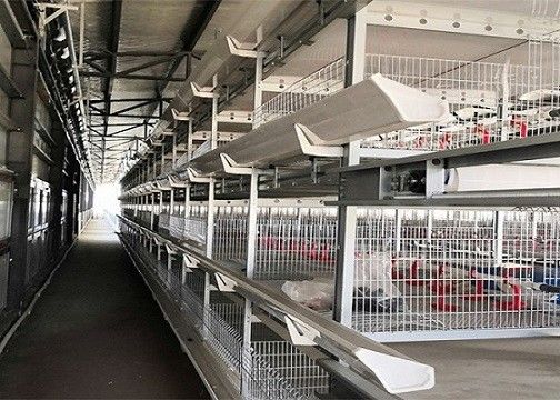 OEM / ODM Çelik Yapı Çiftlik Kanatlı Katman Prefabrik Tavuk Evi