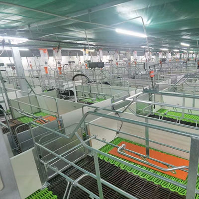Hafif Çelik Yapı Domuz Evi Galvanizli Prefabrik Tarım Binaları
