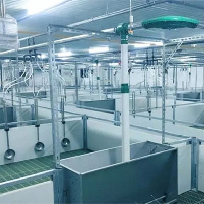 Hafif Çelik Yapı Domuz Evi Galvanizli Prefabrik Tarım Binaları