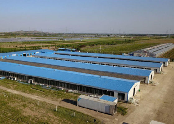 Galvanizli Çelik Yapı Kanatlı Ev Rüzgar Geçirmez Çelik Tavuk Evi