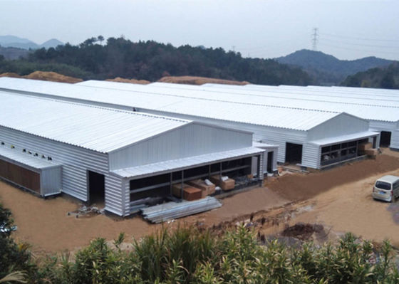 Galvanizli Çelik Yapı Çiftlik Rüzgar Geçirmez Çelik Çerçeve Tavuk Kümesi