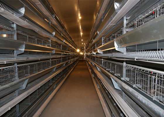 Galvanizli Çelik Yapı Çiftlik Rüzgar Geçirmez Çelik Çerçeve Tavuk Kümesi