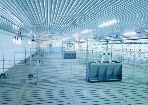 Rüzgar Geçirmez Çelik Yapı Domuz Evi Portalı Prefabrik Çelik Çerçeve ISO9001