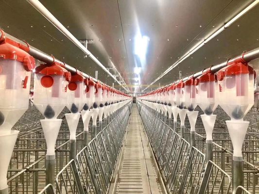Rüzgar Geçirmez Çelik Yapı Domuz Evi Portalı Prefabrik Çelik Çerçeve ISO9001
