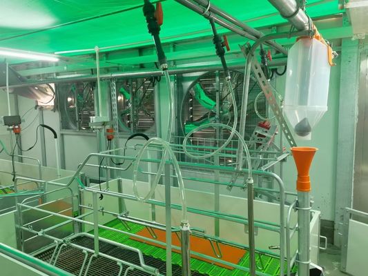 Rüzgar Geçirmez Çelik Yapı Domuz Evi Portalı Prefabrik Çelik Çerçeve ISO9001