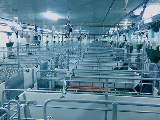 Rüzgar Geçirmez Çelik Yapı Domuz Evi Portalı Prefabrik Çelik Çerçeve ISO9001