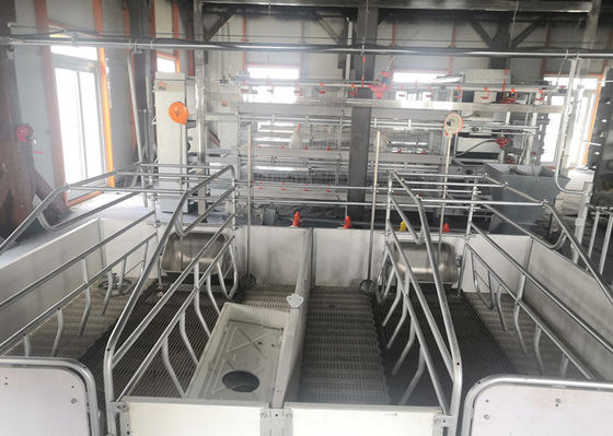 Prefabrik Çelik Portal Çerçeve Yapısı İnşaat Rüzgar Geçirmez Domuz Evi