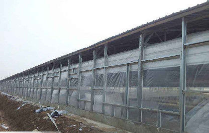 OEM / ODM Çelik Yapı Domuz Evi Yanmaz Prefabrik Çiftlik Binaları