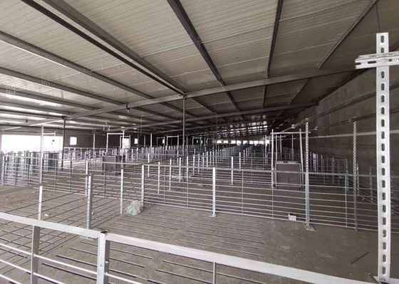 Q355 / Q235 Çelik Yapı Domuz Evi Yanmaz Endüstriyel Çelik Binalar