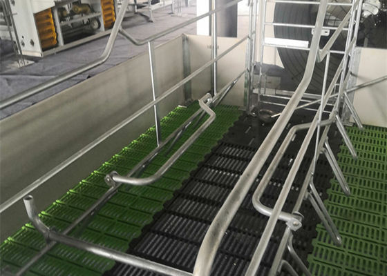 Fabrikasyon Prefabrik Çelik Yapı Domuz Evi Galvanizli Endüstriyel