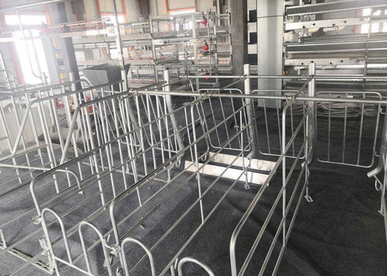 Fabrikasyon Prefabrik Çelik Yapı Domuz Evi Galvanizli Endüstriyel