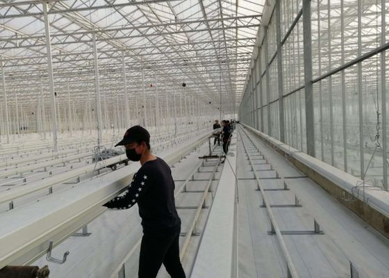 Daman Venlo Cam Sera Sıcak Daldırma Galvanizli Toplu Domates Ekimi