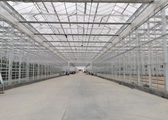 Büyük Süs Çiçekleri İçin Yeşil Bitki Bahçesi Temperli Cam Sera