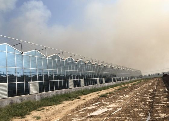 Büyük Süs Çiçekleri İçin Yeşil Bitki Bahçesi Temperli Cam Sera