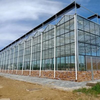 Sebze Yetiştiriciliği Topraksız Kültür Cam Sera Çok Katlı Dikim