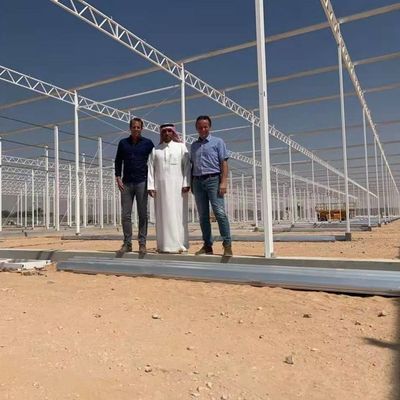 Sebze Yetiştiriciliği Topraksız Kültür Cam Sera Çok Katlı Dikim