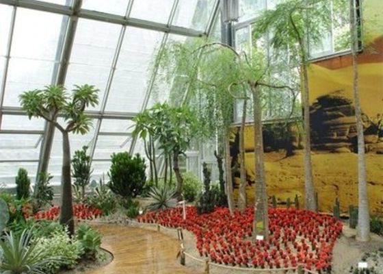 Kış Bahçesi Güneş Işığı Odası Küçük Çelik Venlo Cam Sera Geriye Yaslanmış