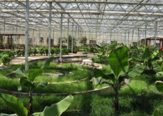 Galvanizli Boru Gezi Sera Restoranı Özel Şekilli 4600㎡