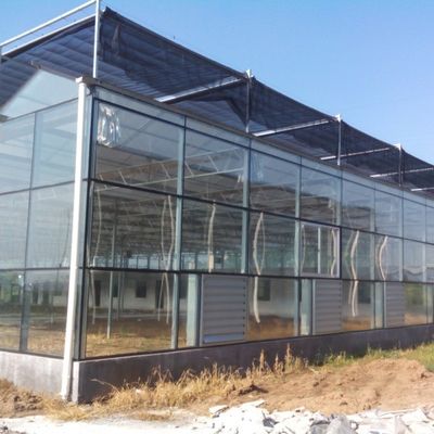 Yüksek verimli sebze cam ekim seraları Domates / salatalık için