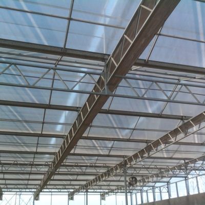 Yüksek verimli sebze cam ekim seraları Domates / salatalık için