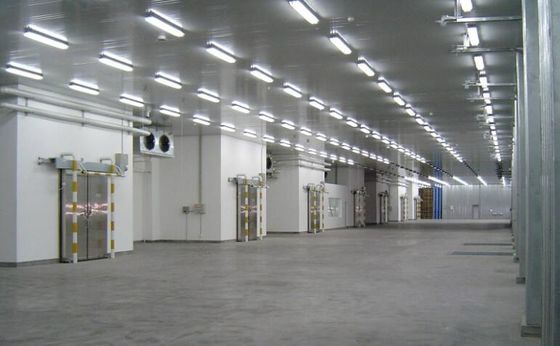 İzolasyon Renkli Çelik Yapısı Duvarlı Depo