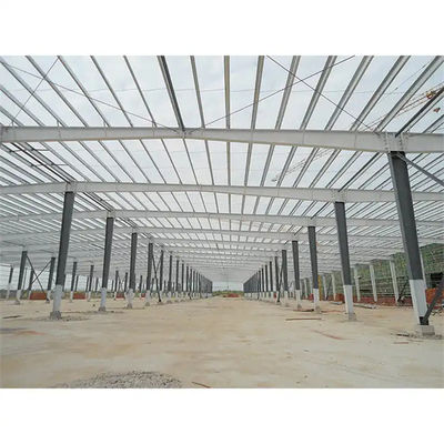 Seçmeli yalıtım, depo için özel çelik yapı inşaatı