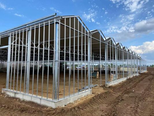 Venluo Gezi Cam Sera - Geniş Ölçekli Sebze Yetiştirme Serası