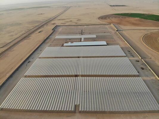 Tarımsal ekim kullanımı, Wannuo turistik cam sera