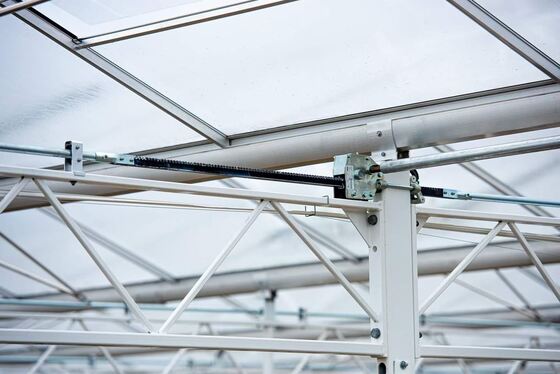 Tarımsal ekim kullanımı, Wannuo turistik cam sera