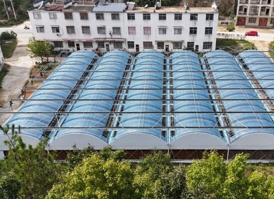 Sebze verimlerini arttırmak ve sebzelerin olgunlaşma sürecini hızlandırmak için kullanılan sürekli yayılmış polietilen filmli bir sera