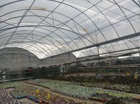 Sebze verimlerini arttırmak ve sebzelerin olgunlaşma sürecini hızlandırmak için kullanılan sürekli yayılmış polietilen filmli bir sera