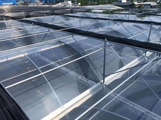 Wenlu Turist Cam Sera - Büyük Ölçekli Meyve Bitkileri Sera